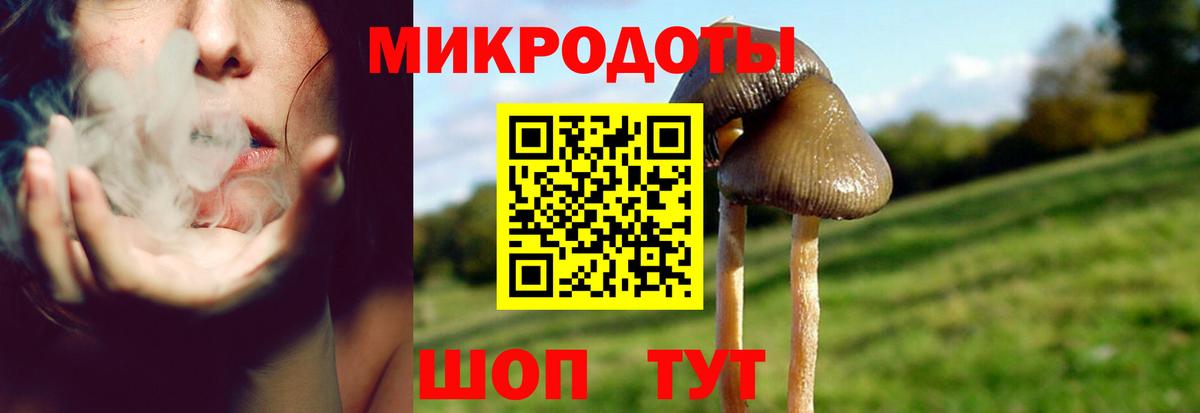 Галлюциногенные грибы GOLDEN TEACHER  Вход с VPN  Псилоцибиновые грибы Psilocybe  Кимры 
