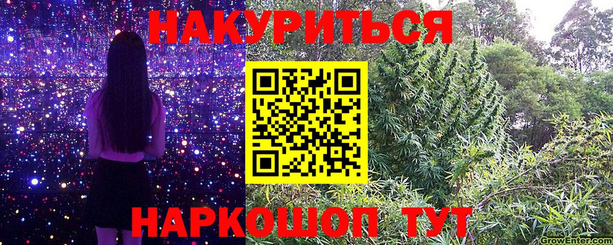 Шишки марихуана сатива  Каннабис Amnesia  Каннабис MAZAR  Кимры  Шишки марихуана планчик  Вход с VPN 